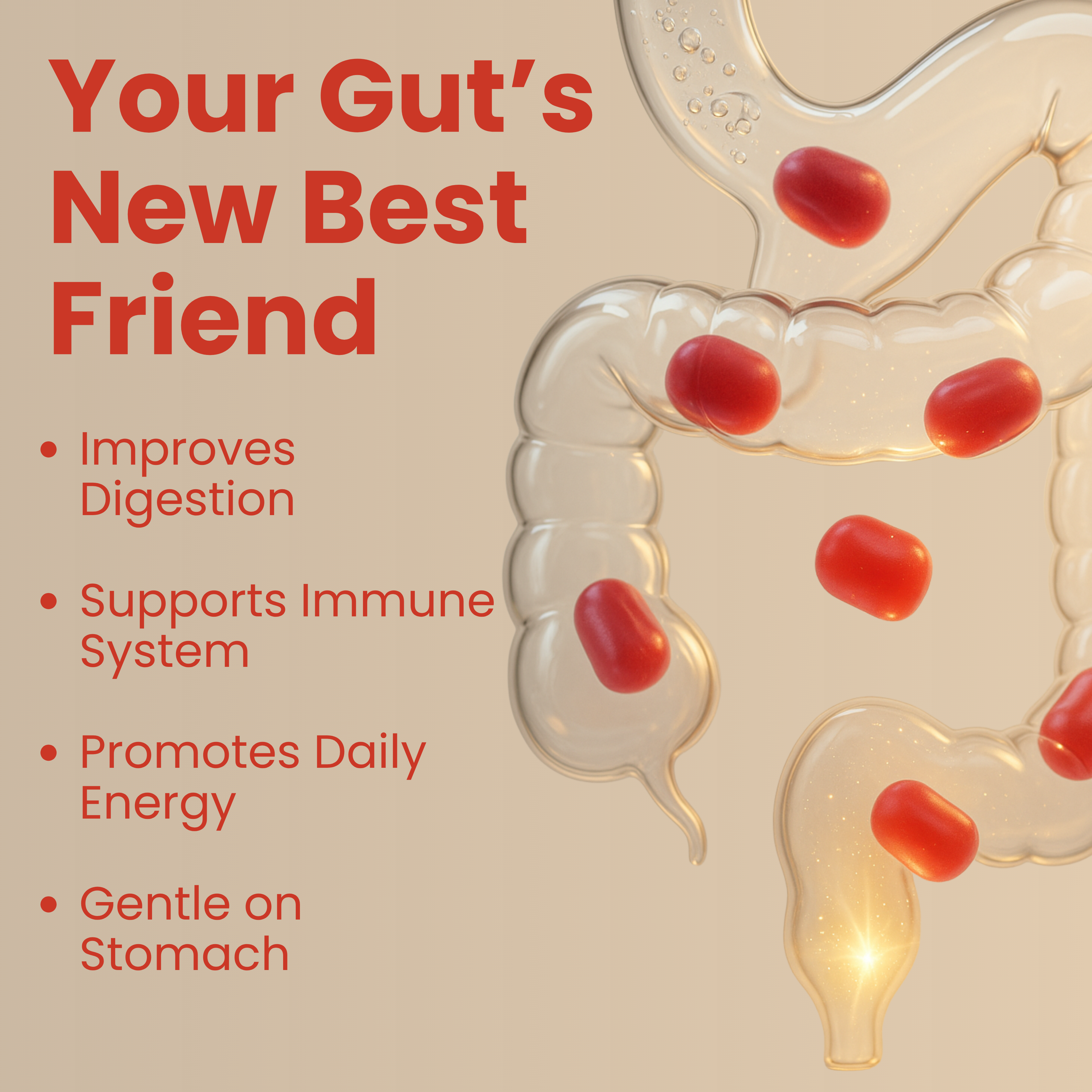 AmoreLumin® | Bloating Probiotic Gummies