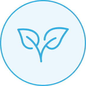 Keto, Pleo & Vegan Friendly